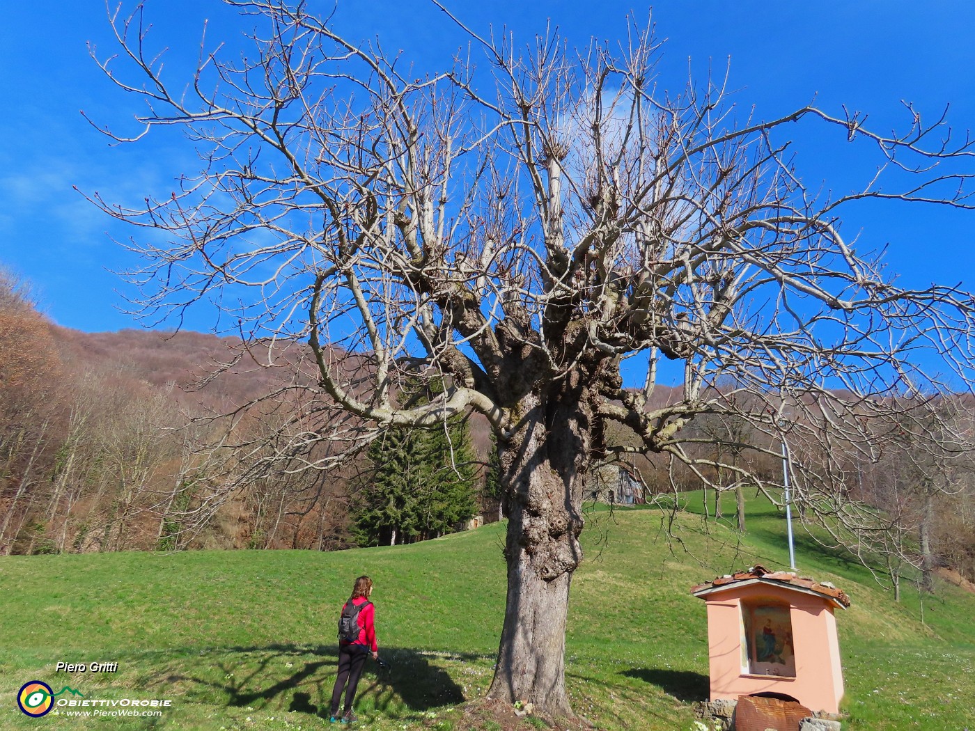 20 Santella della Madonna di Caravaggio in radura prativa.JPG